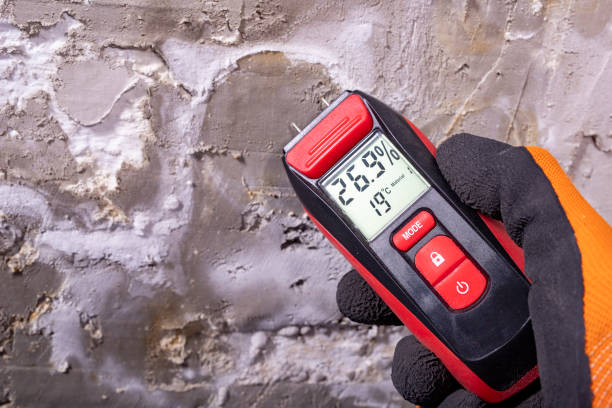Best Attic Mold Remediation in Clara City, MN